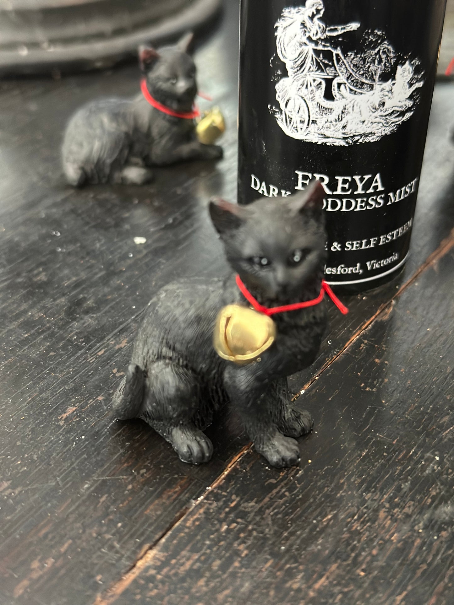 Freya’s cat