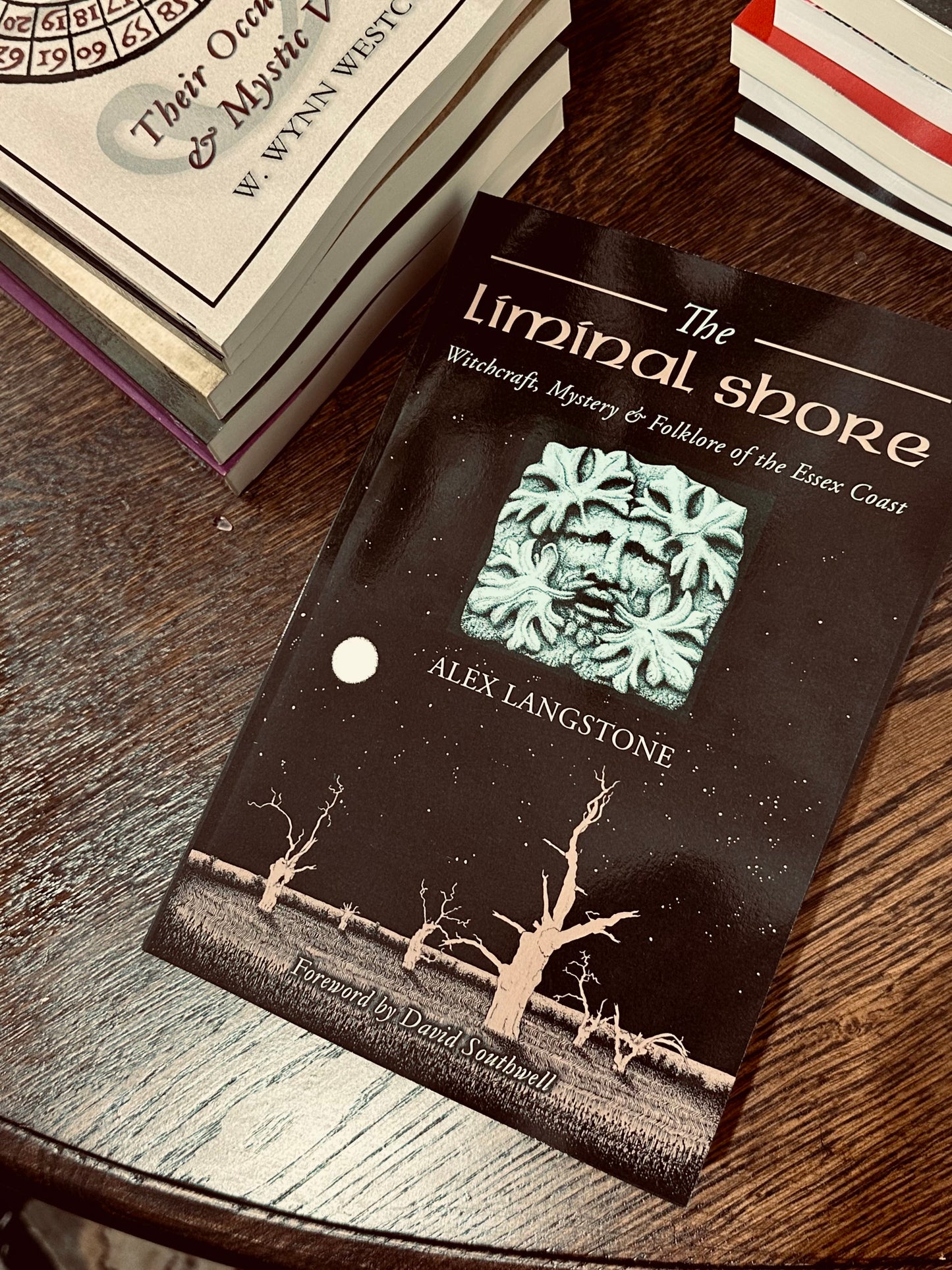 Troy books - The Liminal Shore