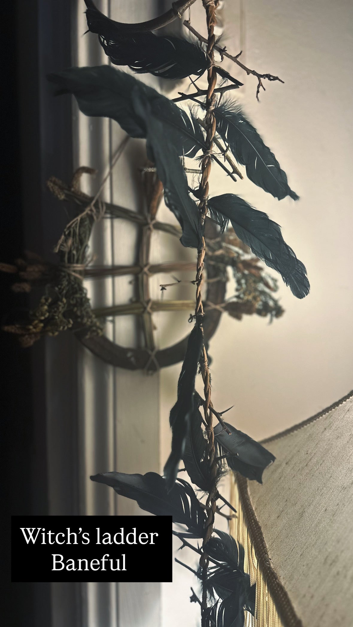 Witch’s Ladder - Baneful