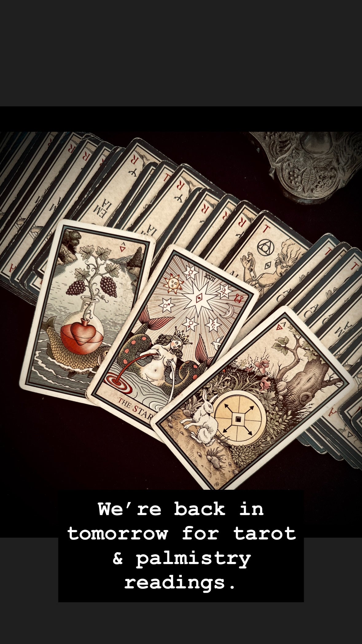 Tarot intuitive reading with Euphemia - Instore Daylesford