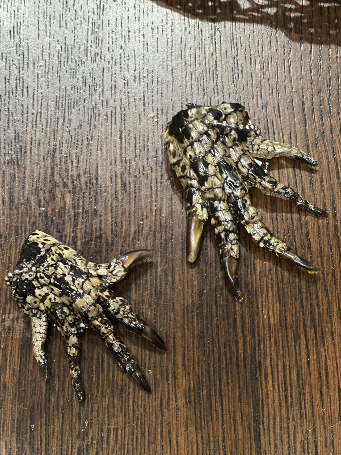Alligator foot - lucky talisman