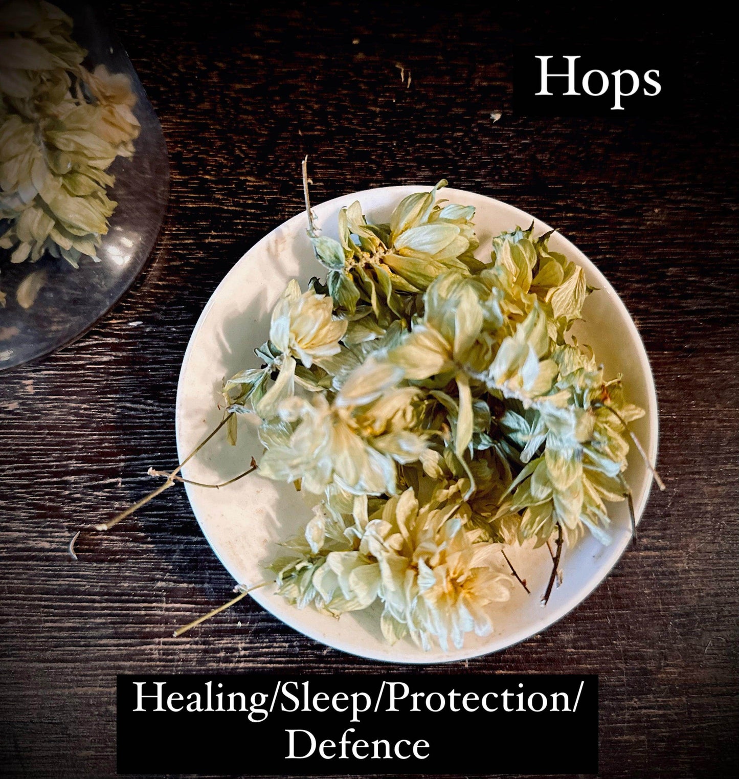 Hops - Organic - Euphemia Blackthorne