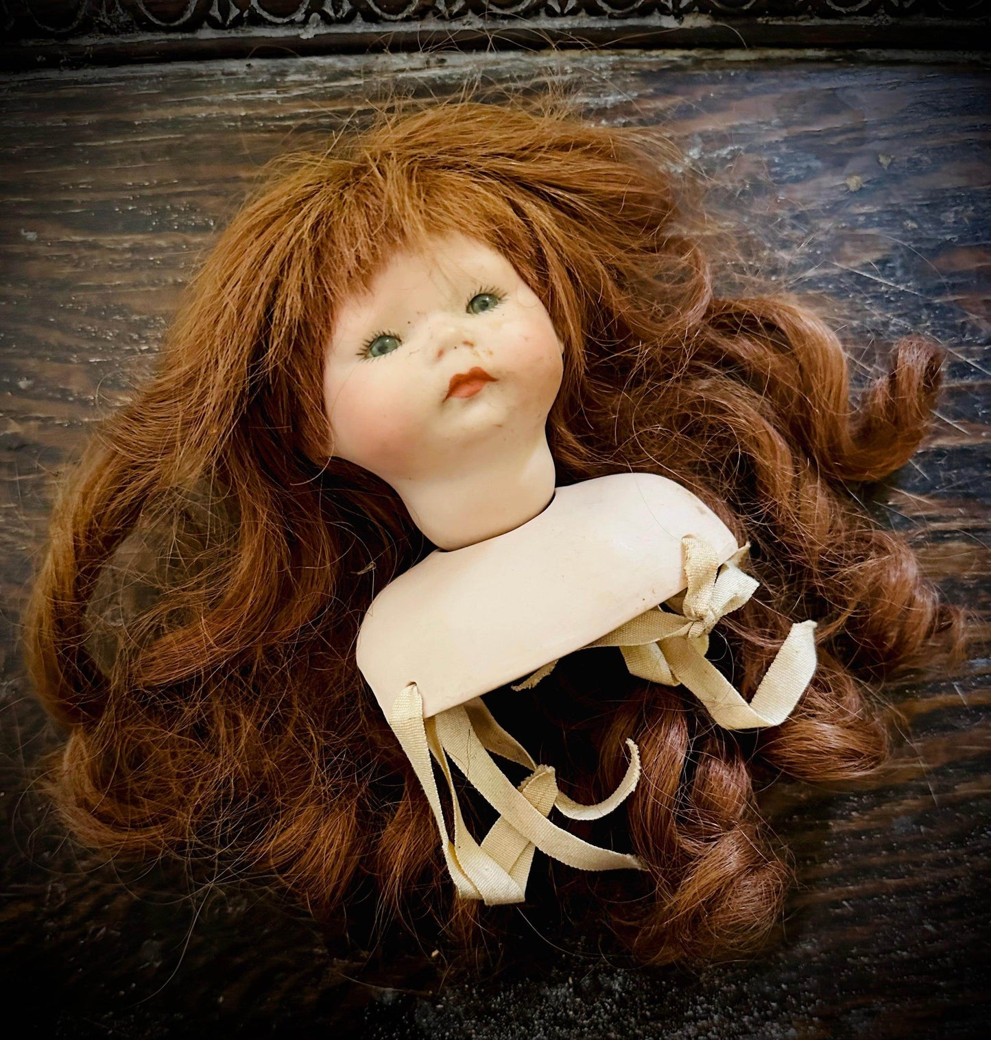 Doll parts - Vintage Head & shoulders with hair - Euphemia Blackthorne