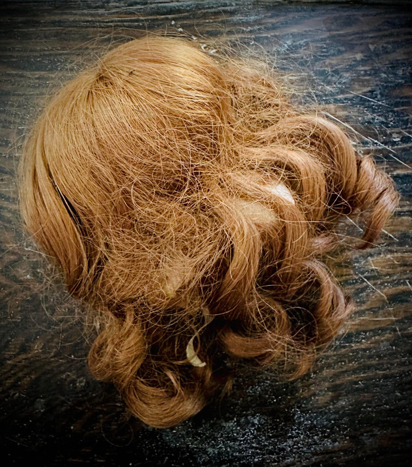 Doll parts - Vintage Head & shoulders with hair - Euphemia Blackthorne