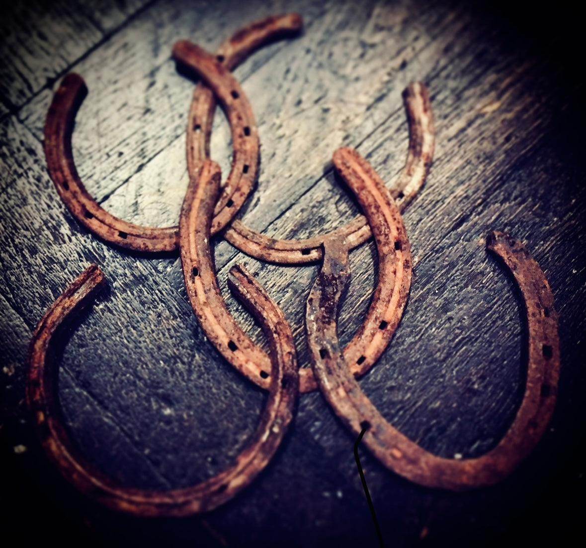 Vintage Horseshoe - Euphemia Blackthorne