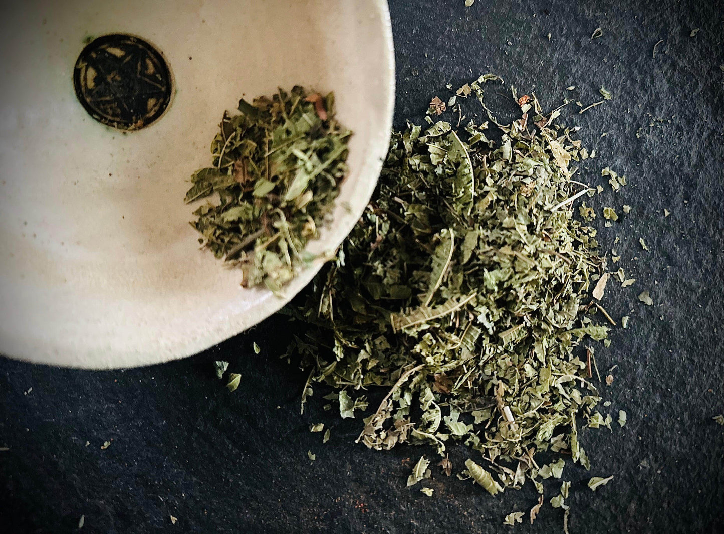 Lemon Verbena - Euphemia Blackthorne