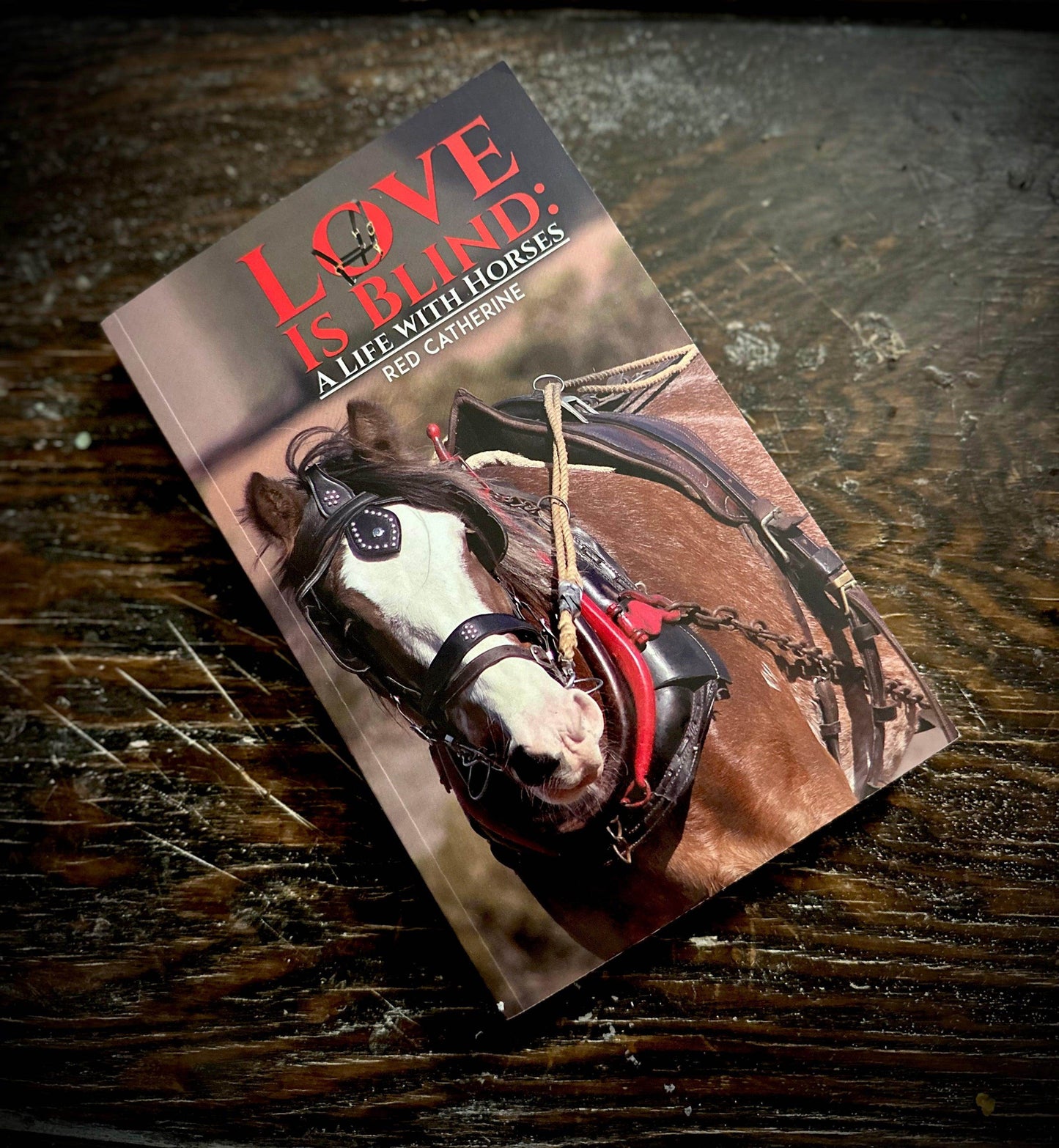 Love is Blind - A Life with Horses by Red Catherine - NEW - Euphemia Blackthorne