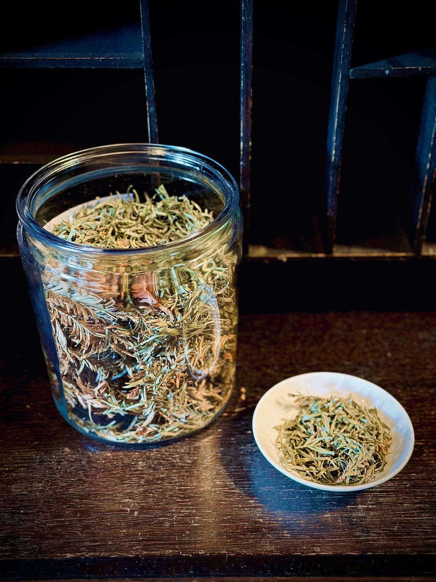 Yew - Caution: Baneful - Euphemia Blackthorne