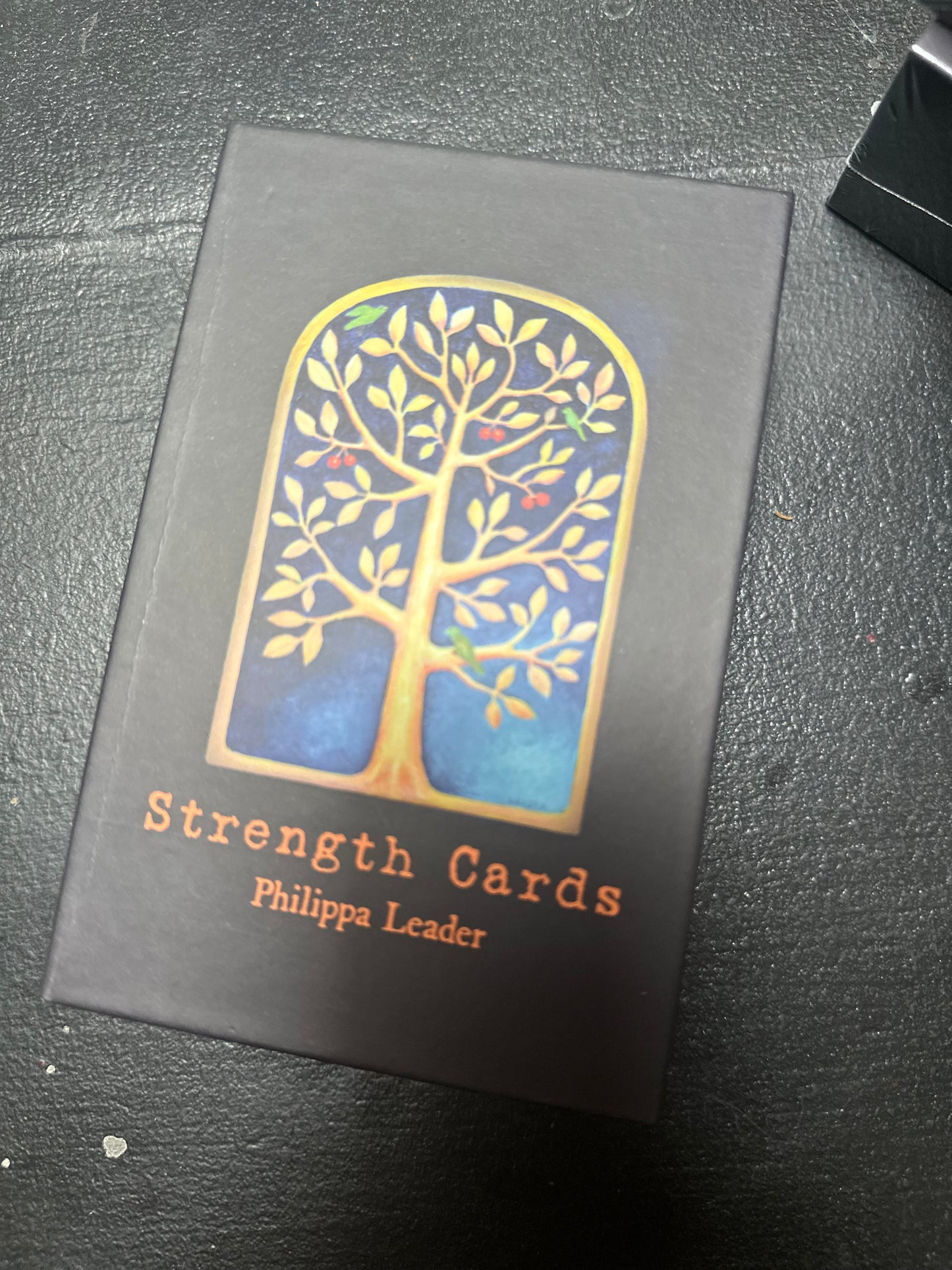 Strength cards by Phillipa Leader
