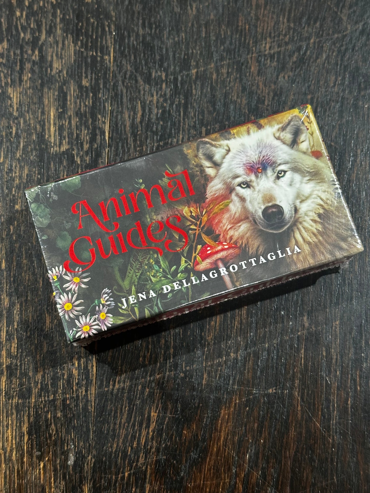 Animal Guides - Jena Dellagrottaglia