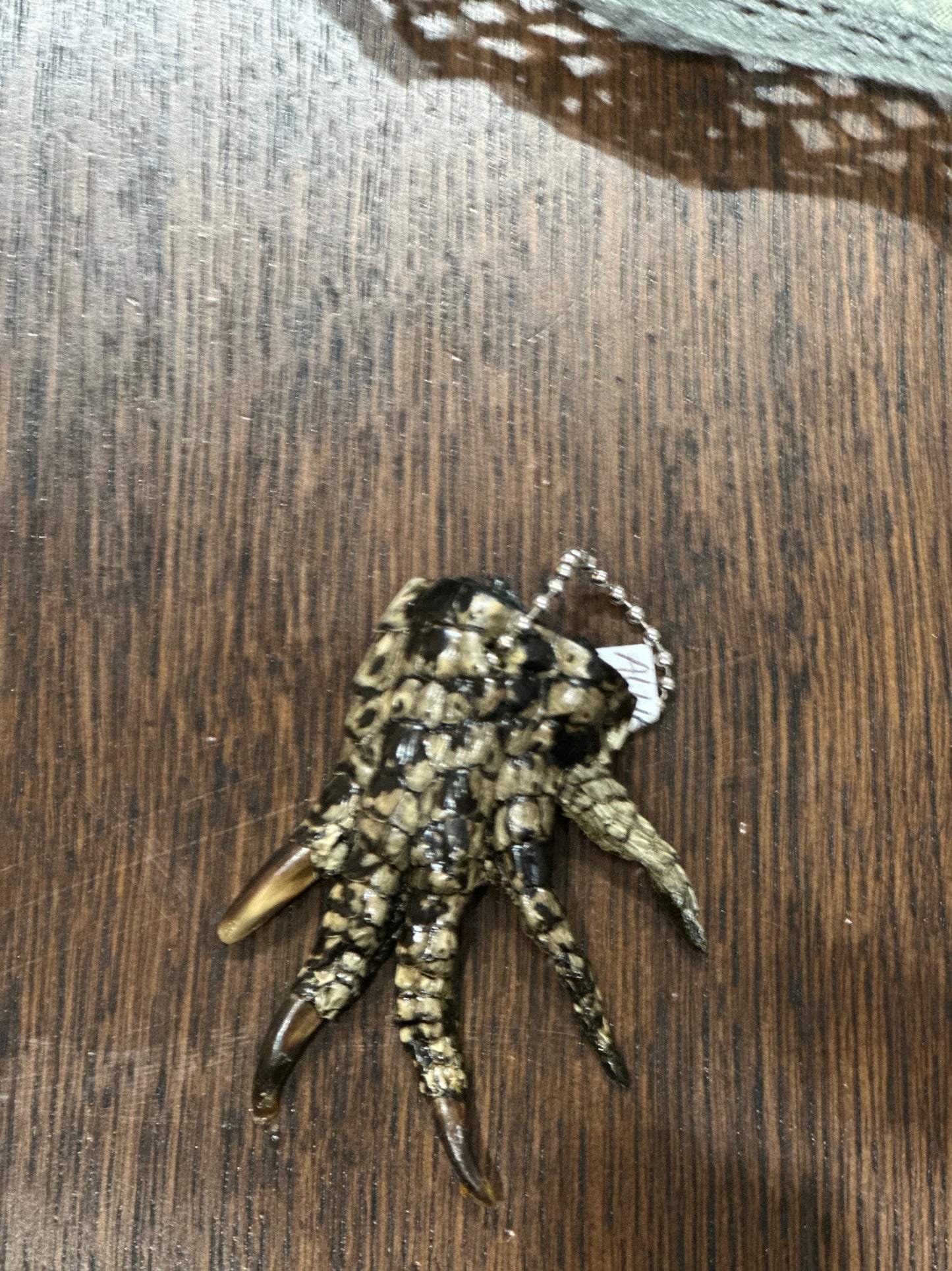 Alligator foot - lucky talisman