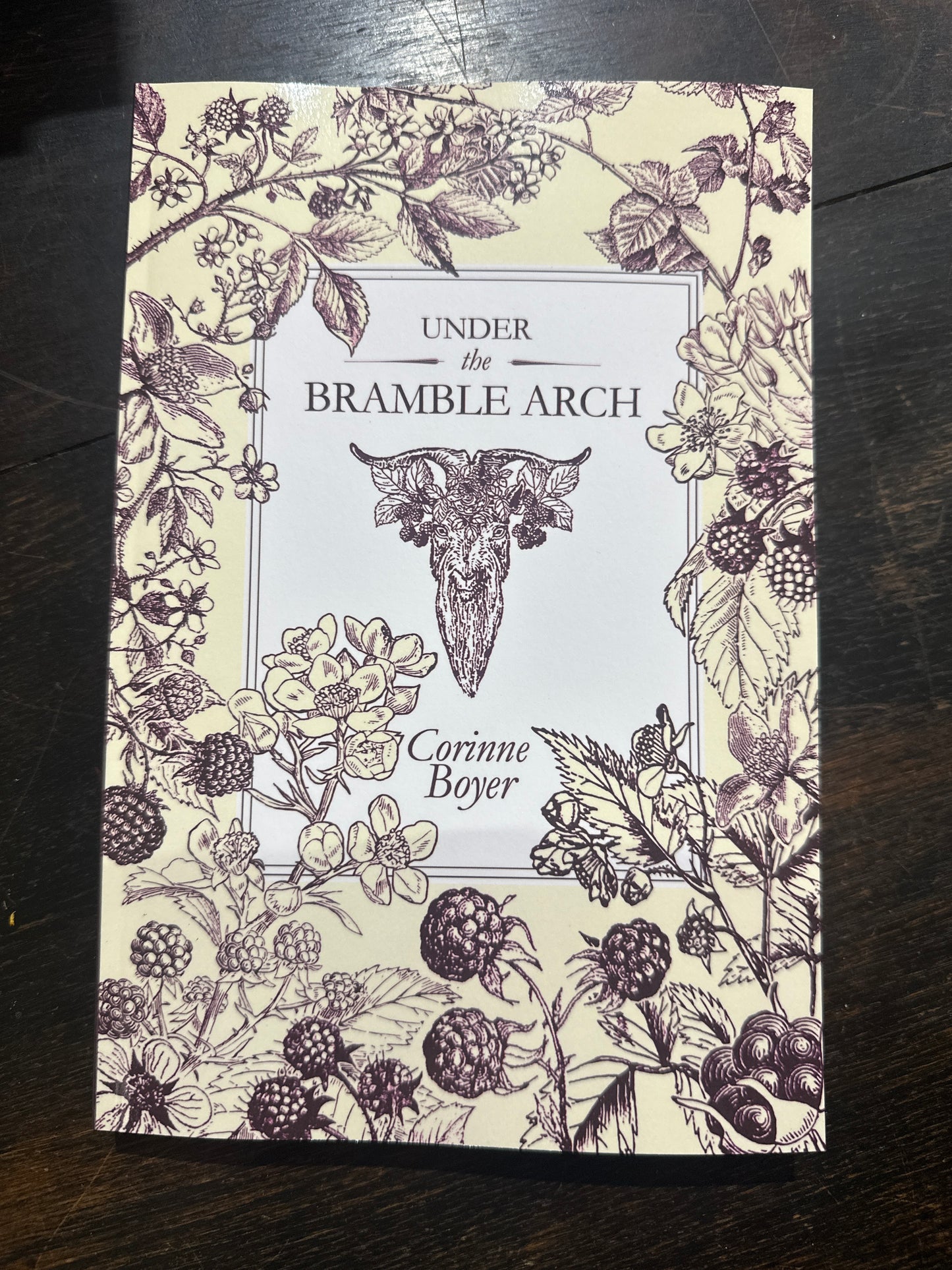 Troy books - Under the bramble arch -Corinne Boyer