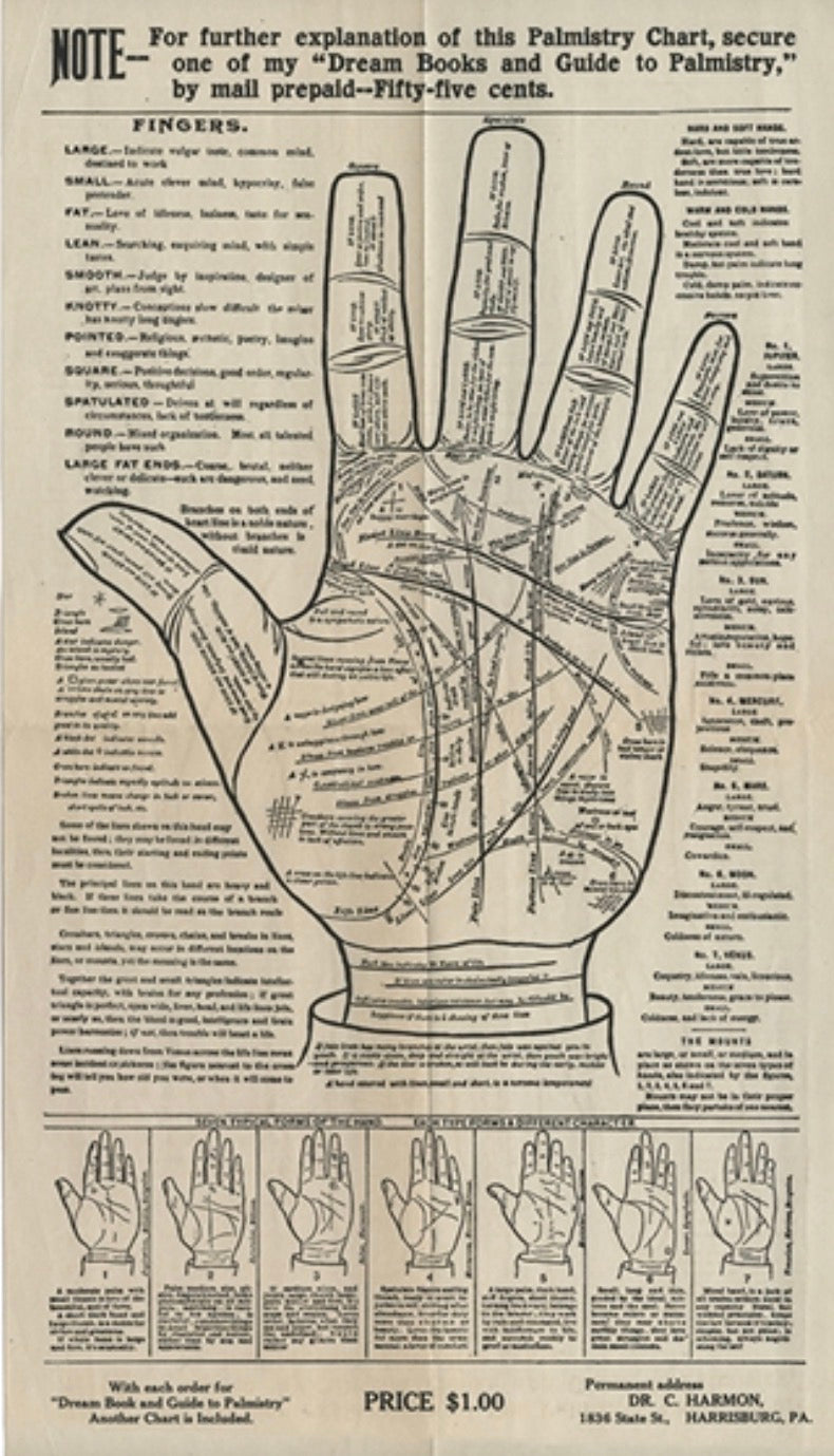 Palmistry reading with Euphemia - Instore Daylesford