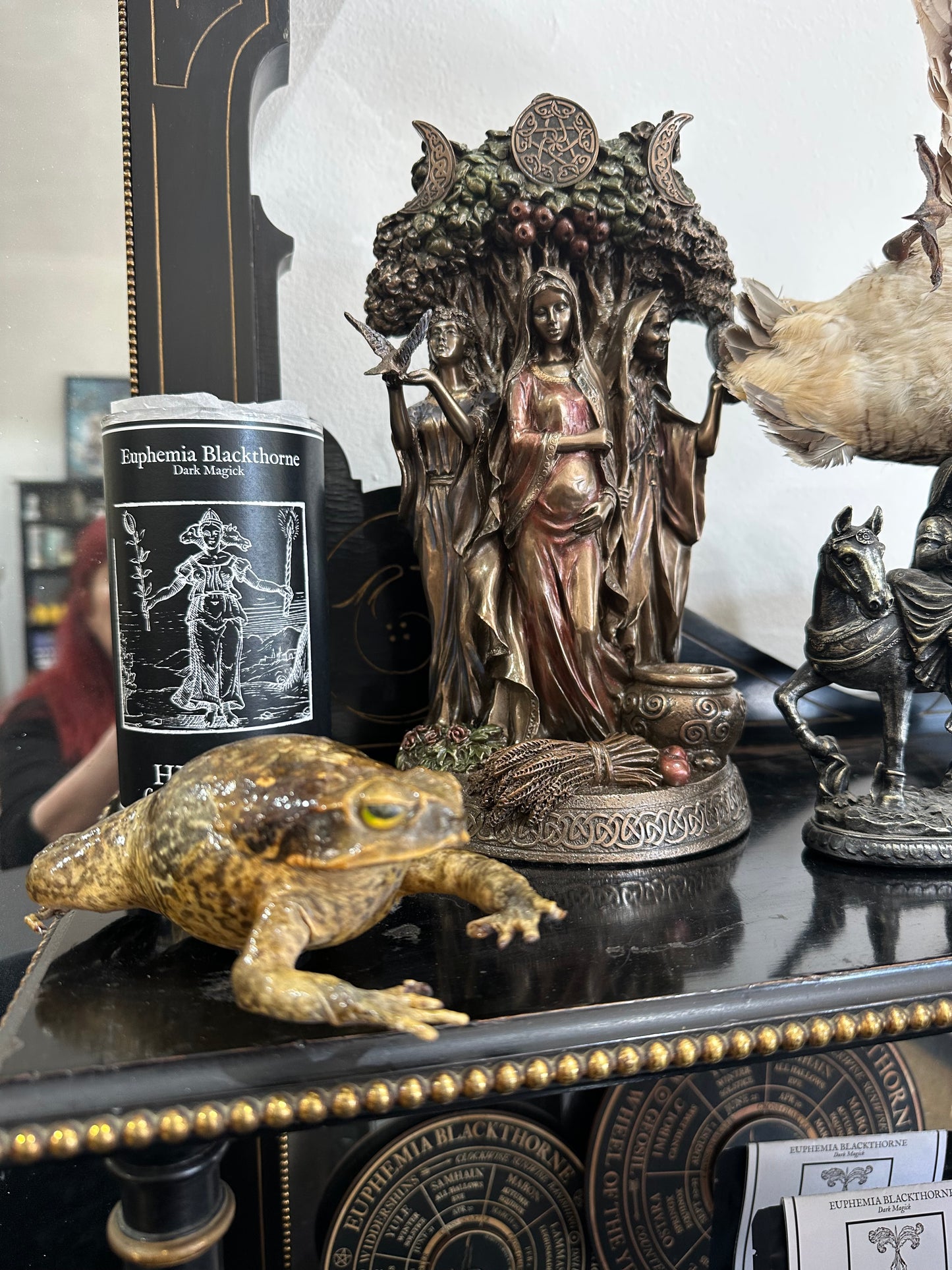 Toad - Witches’ familiar - taxidermy