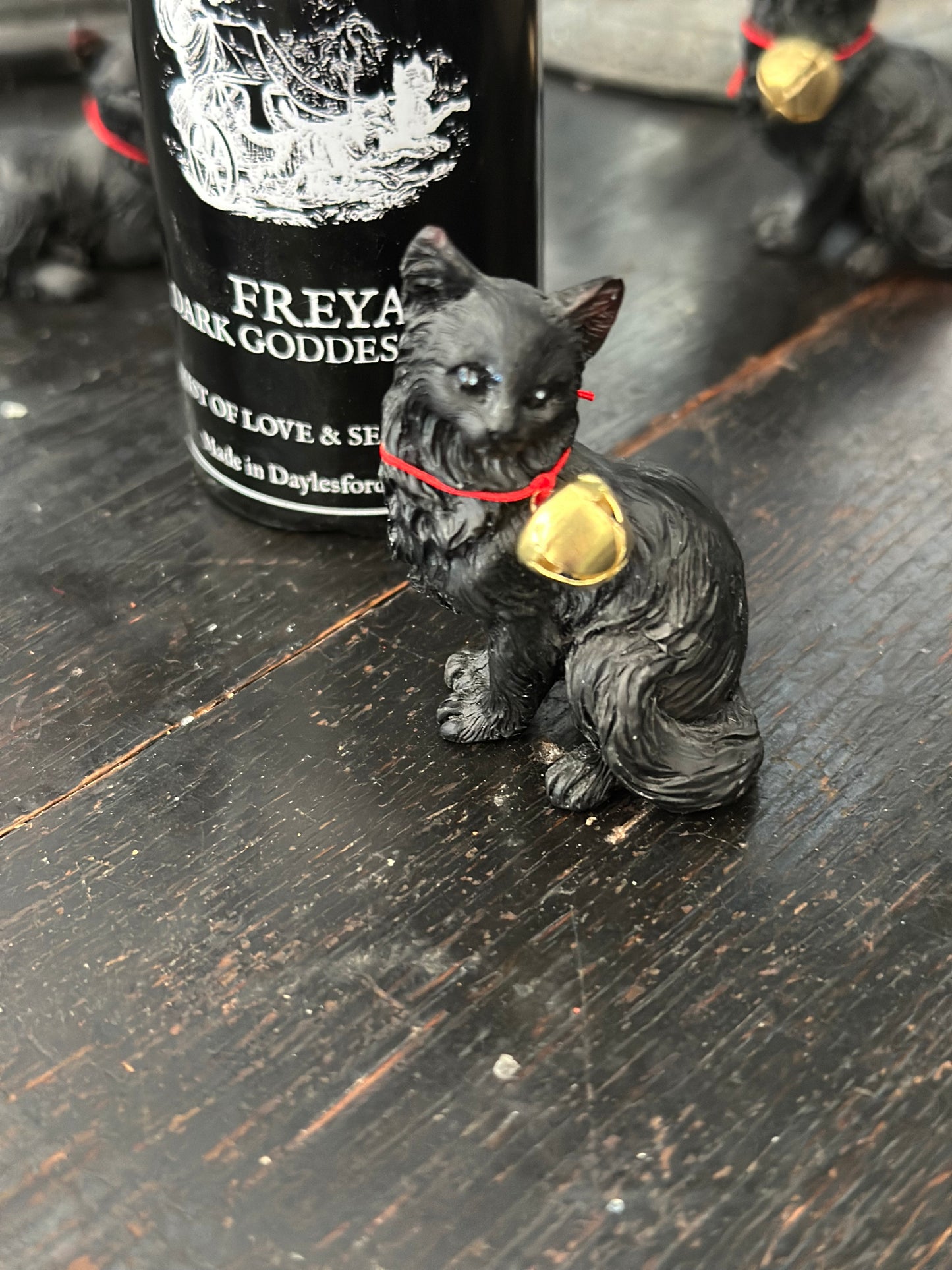 Freya’s cat