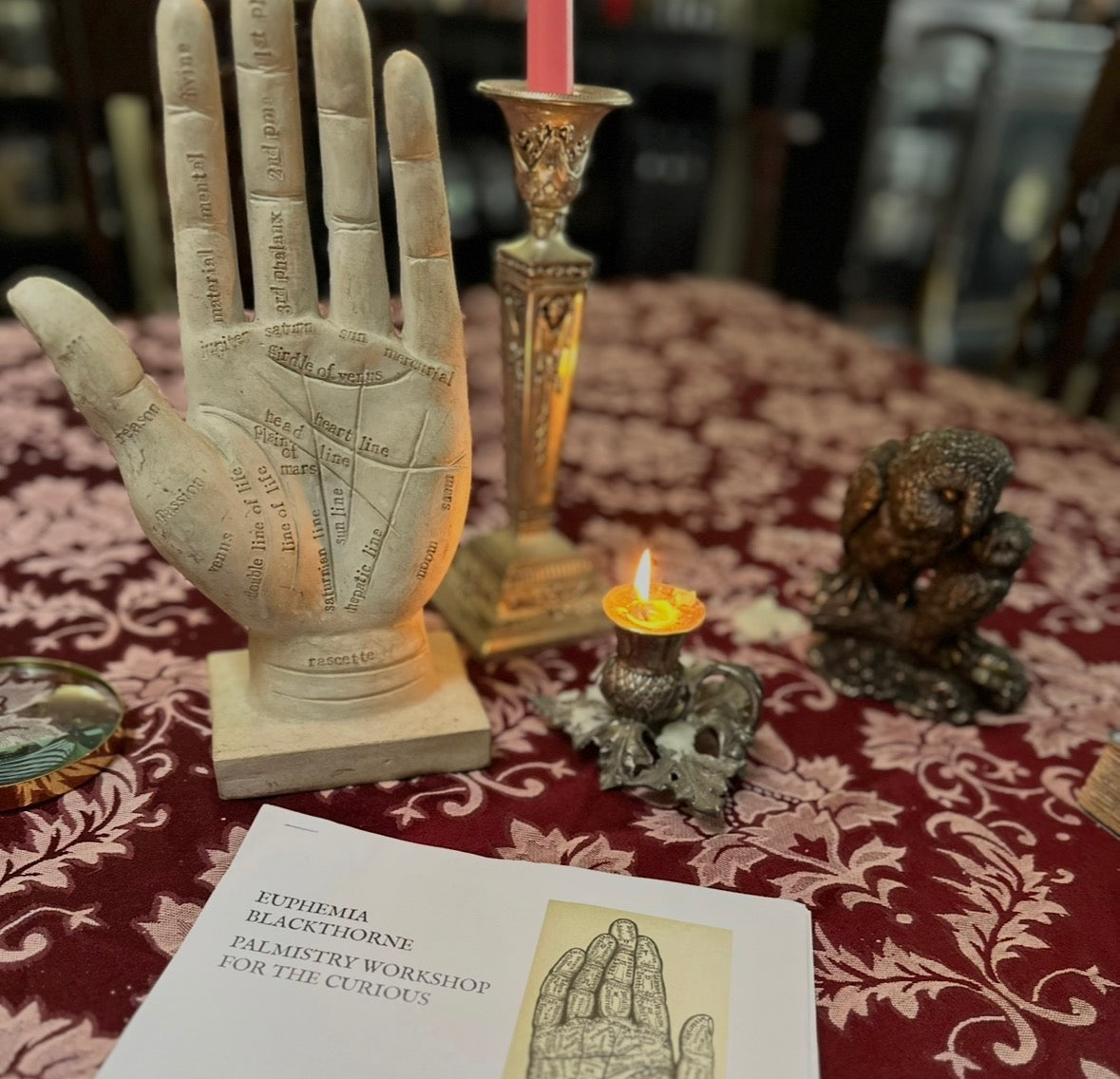 SAT 25 JULY 2026 - PALMISTRY WORKSHOP - YOUR FUTURE'S IN YOUR HANDS - DAYLESFORD