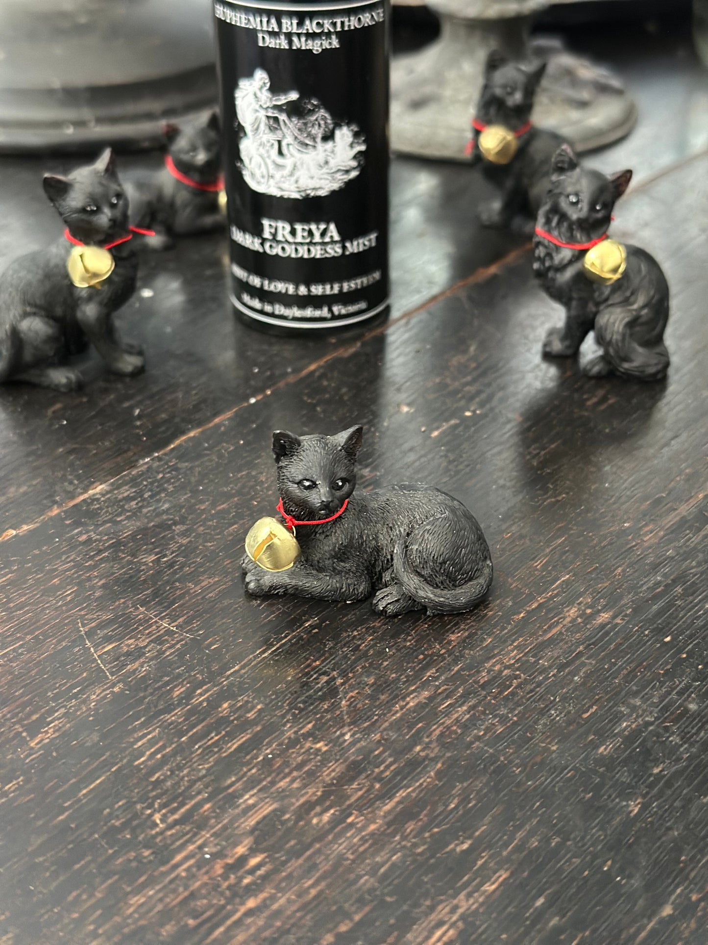 Freya’s cat