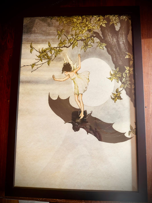 Fairy and her bat framed picture