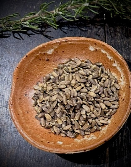 St Mary’s Thistle seed