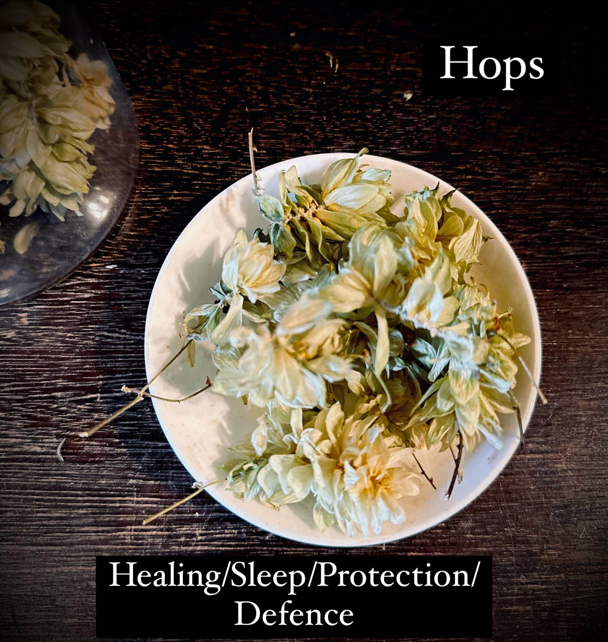 Hops - Organic - Euphemia Blackthorne