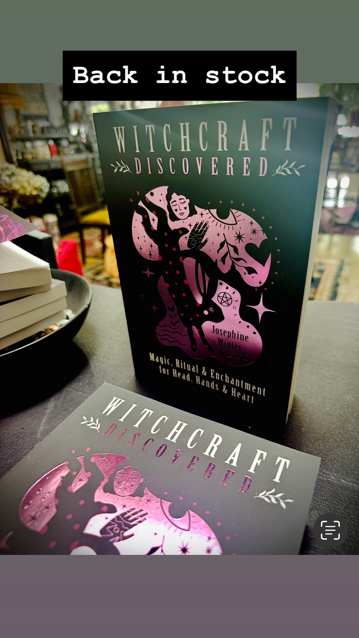 Witchcraft Discovered by Josie Winter