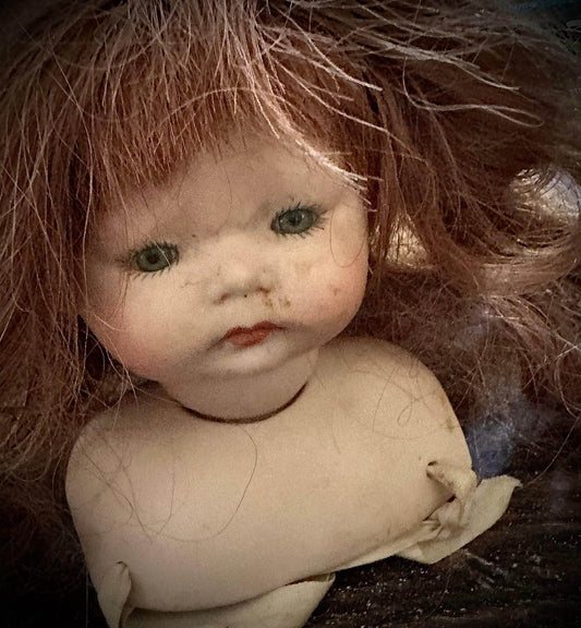 Doll parts - Vintage Head & shoulders with hair - Euphemia Blackthorne
