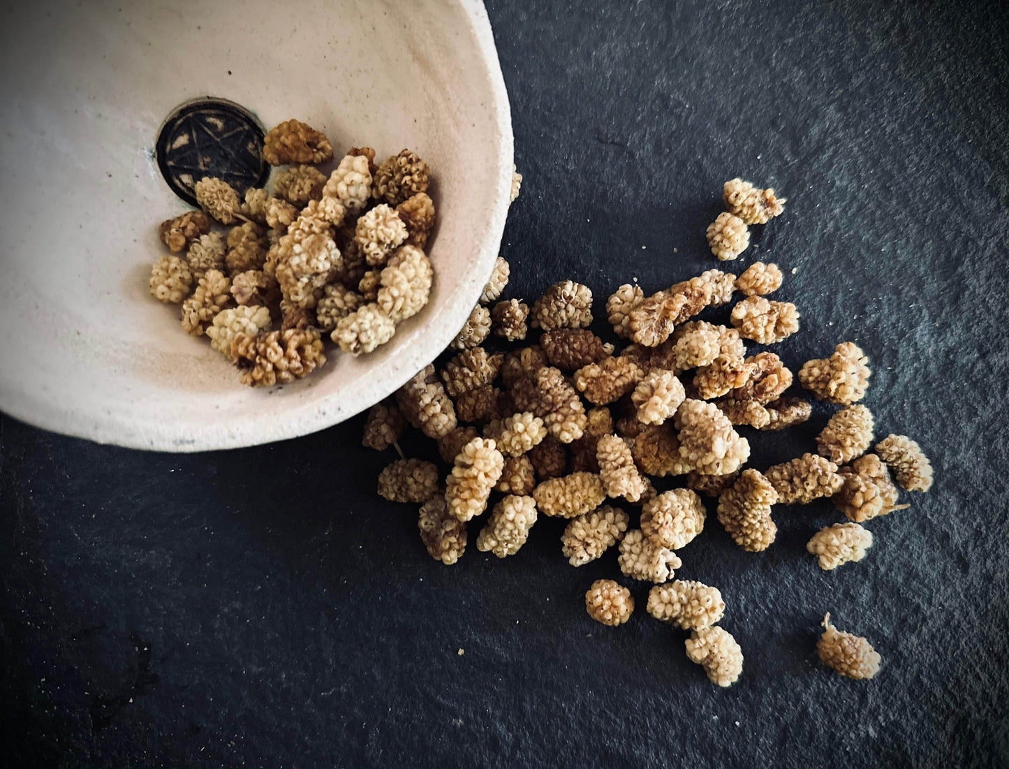 Mulberry - Organic - Edible - Euphemia Blackthorne