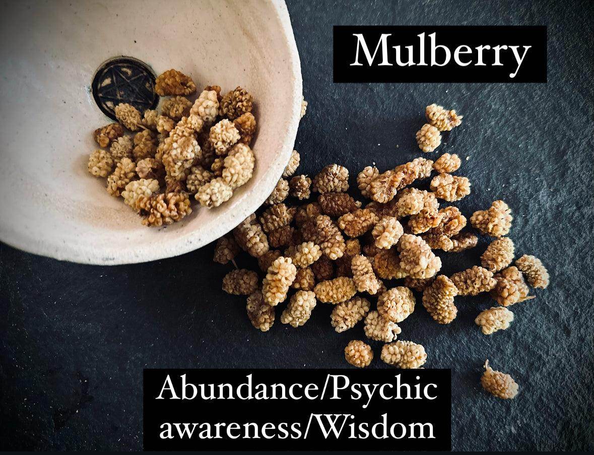 Mulberry - Organic - Edible - Euphemia Blackthorne