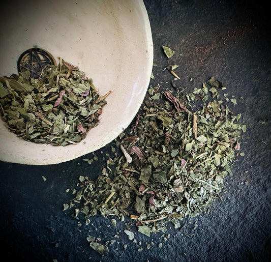 Echinacea - Tea Quality - Euphemia Blackthorne