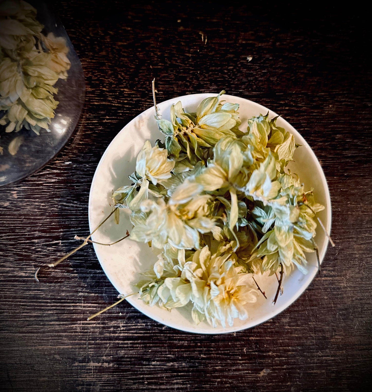 Hops - Organic - Euphemia Blackthorne