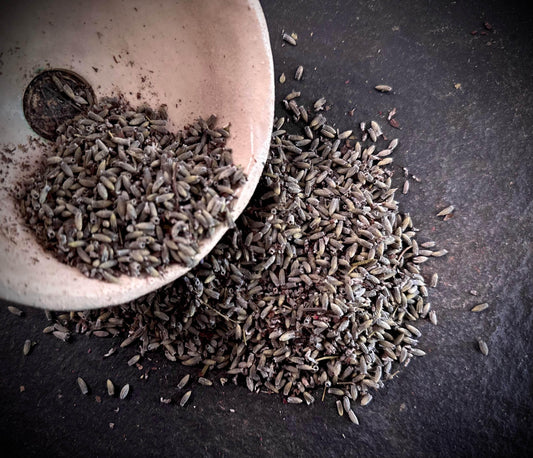 Lavender - Organic - Euphemia Blackthorne