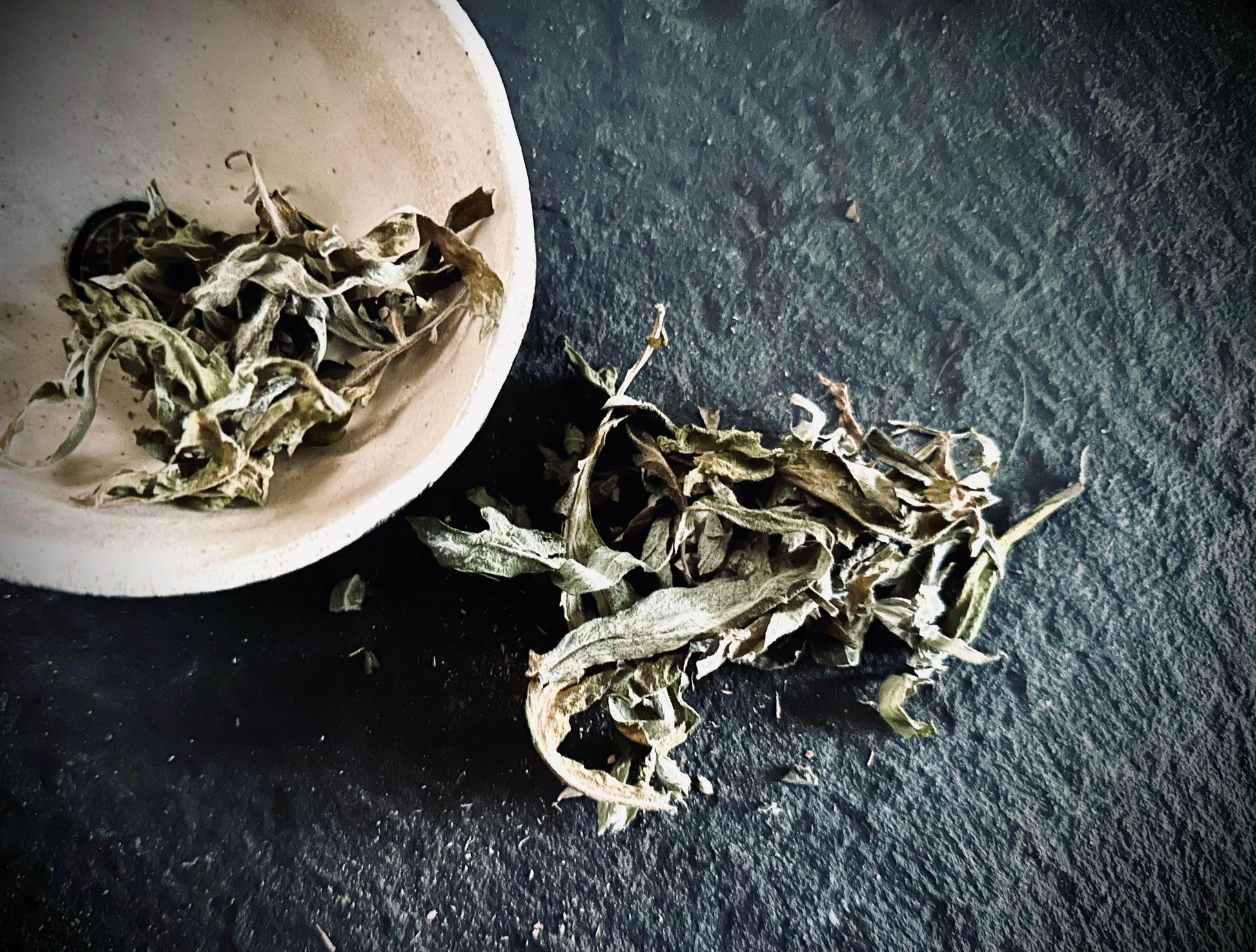 Mugwort - Home grown - Organic - Euphemia Blackthorne