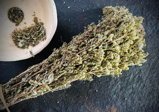 Oregano - Organic - Euphemia Blackthorne