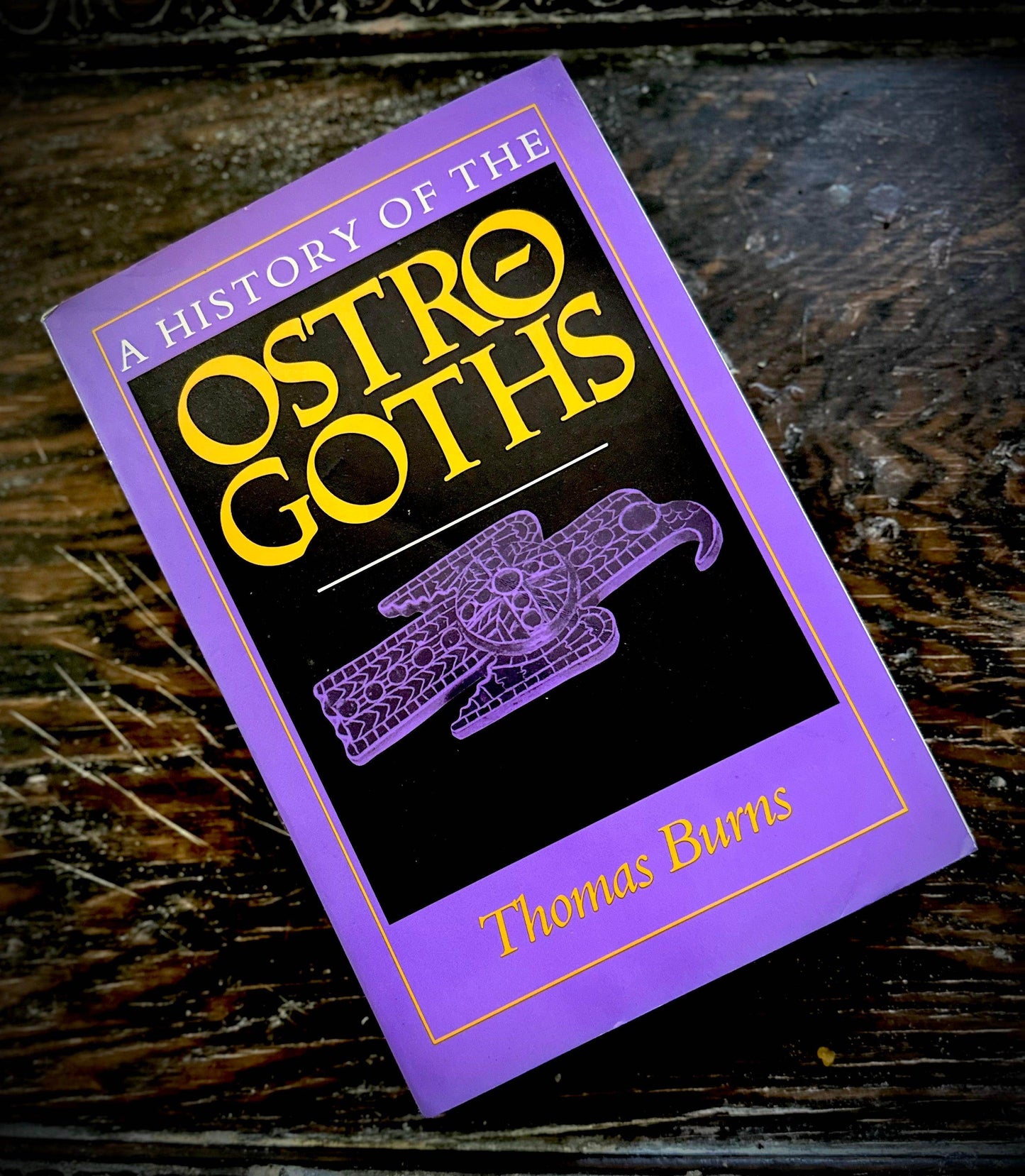A History of the Ostro Goths by Thomas Burns - Second hand - Euphemia Blackthorne