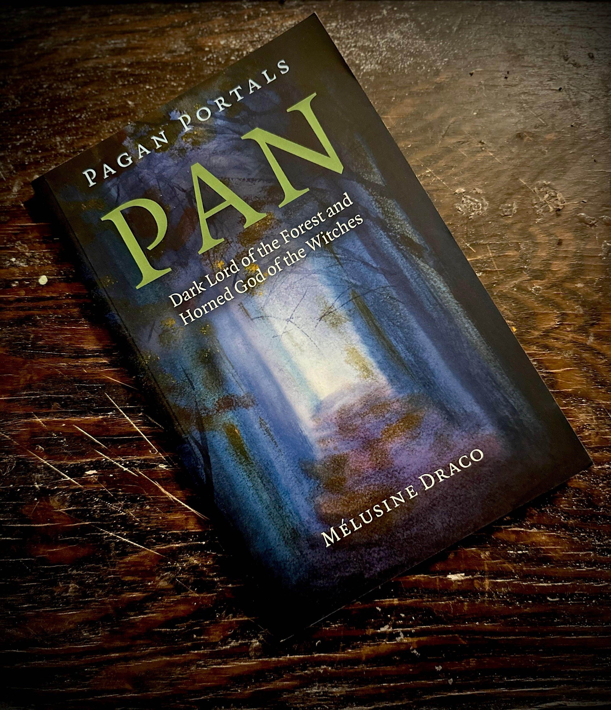 Pagan Portals Collection - Euphemia Blackthorne