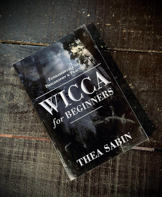 Wicca for Beginners by Thea Sabin - Euphemia Blackthorne